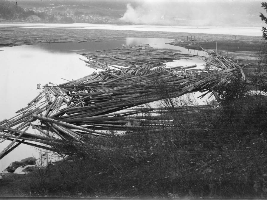 Tømmerfløting - Tømmerloner i Heddalsvannet
